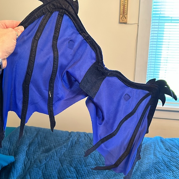 Dragon costume - Picture 4 of 7